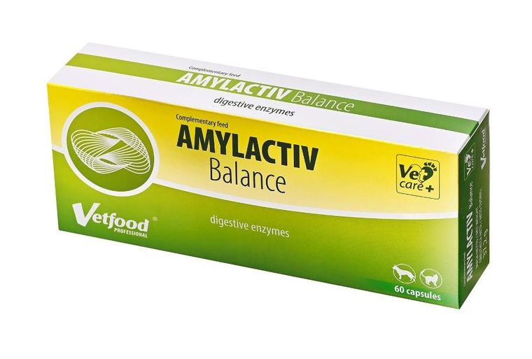 Vetfood, Amylactiv Balance, suplement diety na trawienie dla psów i kotów, 60 tabletek