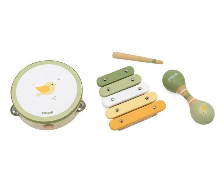 Viga, PolarB, zestaw instrumentów muzycznch, ptak
