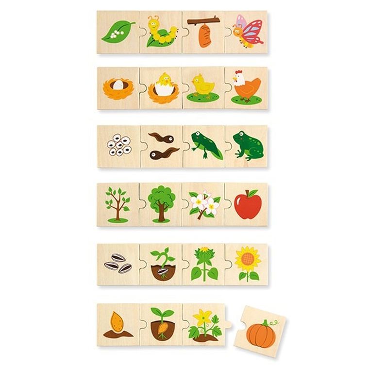 Viga Toys, Jak rośnie…, puzzle edukacyjne, 24 elementy