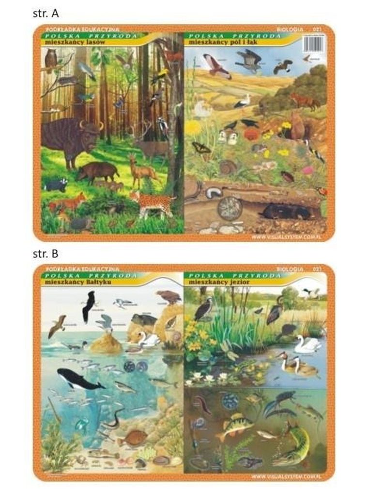 Visual System, podkładka na biurko, mata, Mieszkańcy Bałtyku, jezior