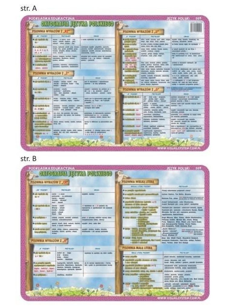 Visual System, podkładka na biurko, mata, Ortografia: ch, h, rz, ż, ó..