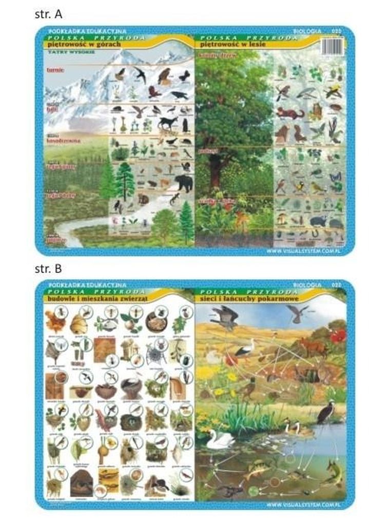 Visual System, podkładka na biurko, mata, Piętrowość w górach i lesie