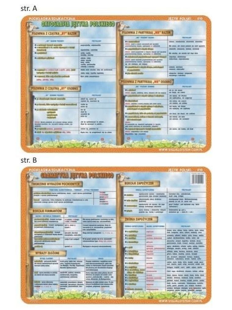 Visual System, podkładka na biurko, mata, Pisownia z -by i nie