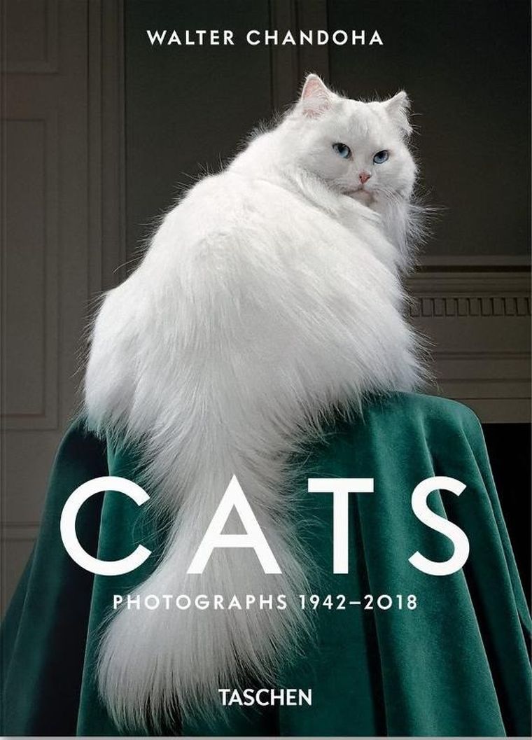 Walter Chandoha. Cats. Photographs 1942-2018 (wersja angielska)