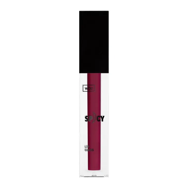 Wibo, Spicy Lip Gloss, błyszczyk do ust, nr 22, 3 ml