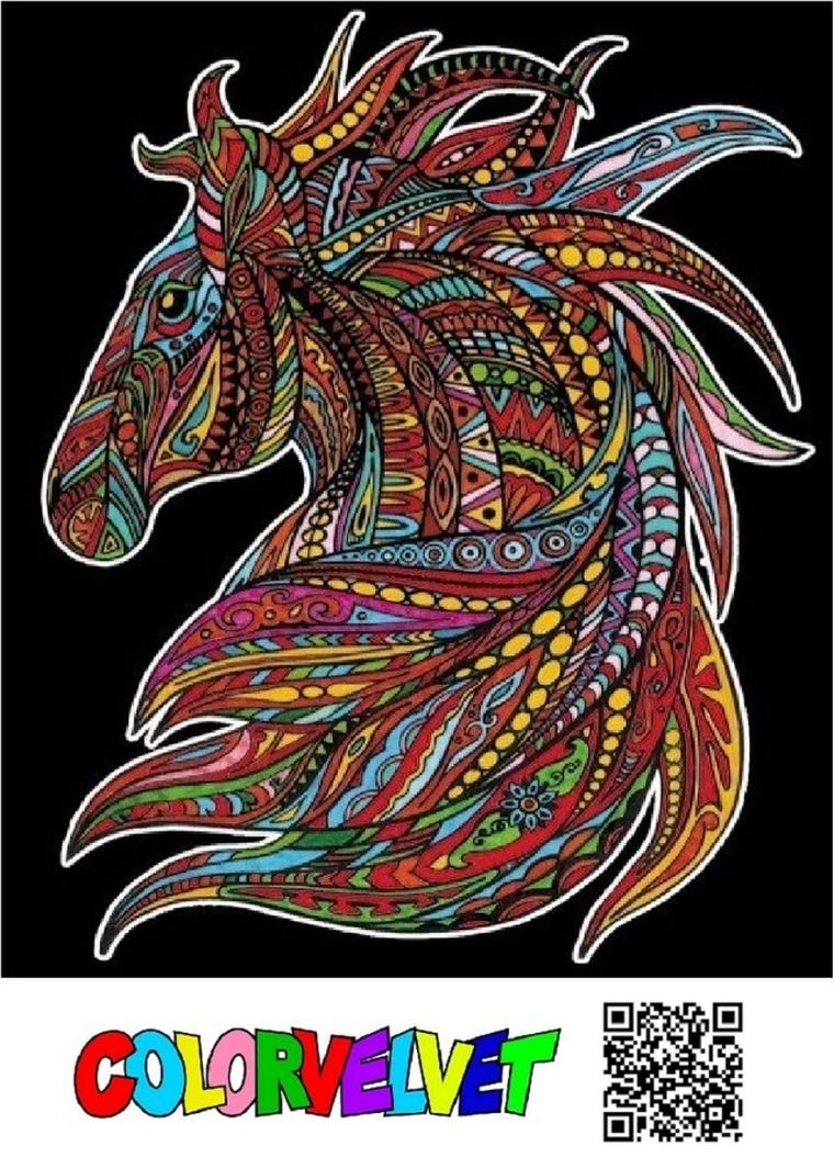 Wicher Koń. Kolorowanka welwetowa, 47-35 cm