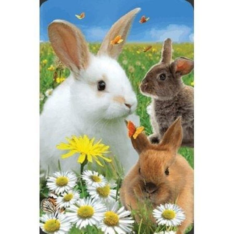 Worth Keeping, mini kartka, Królik