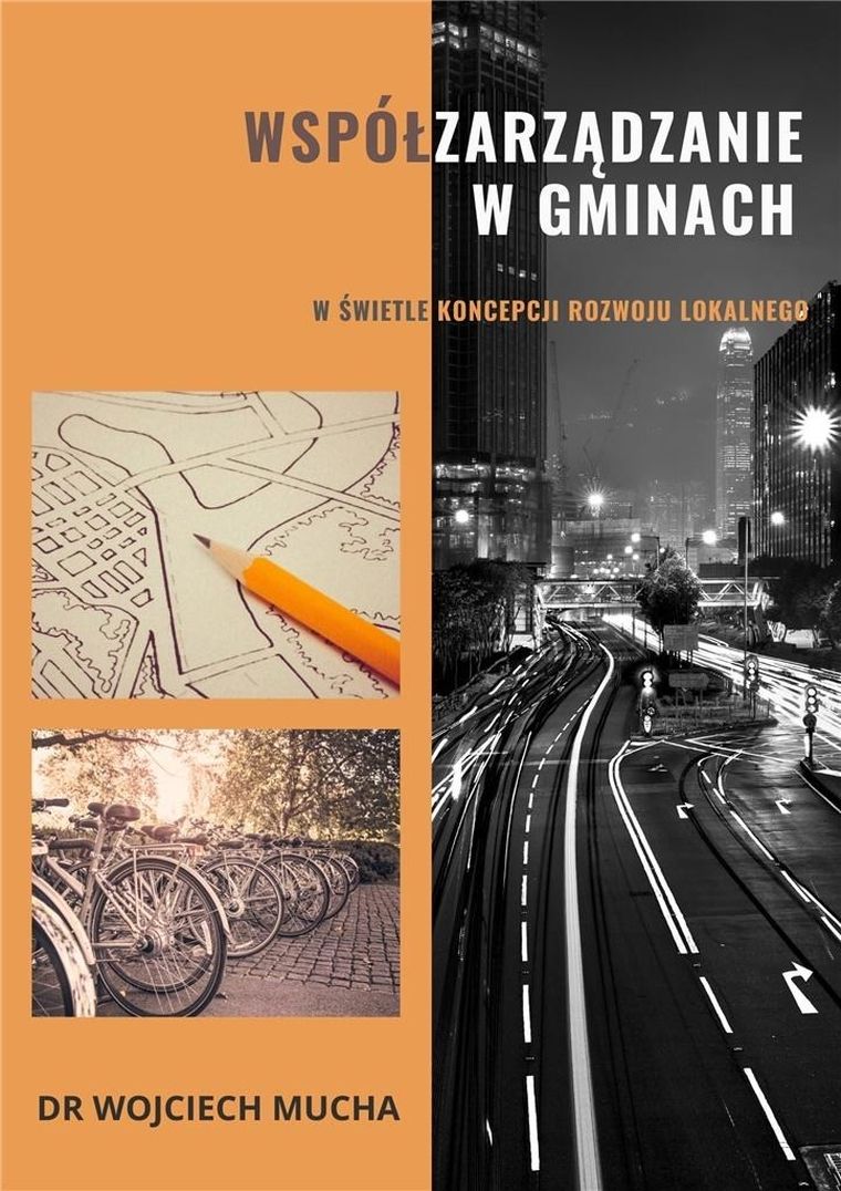 Współzarządzanie w gminach