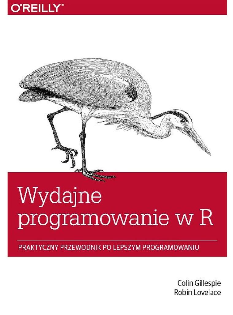 Wydajne programowanie w R