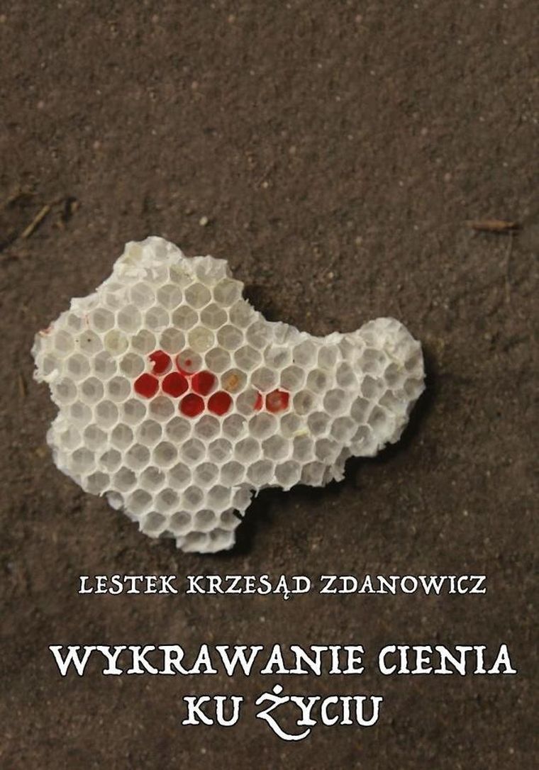 Wykrawanie cienia ku życiu