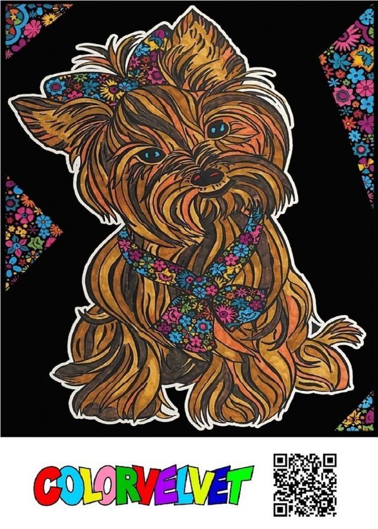 Yorkshire Terrier. Kolorowanka welwetowa 47-35 cm