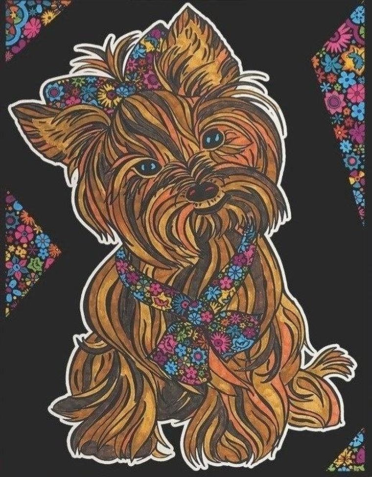 Yorkshire Terrier. Kolorowanka welwetowa A4
