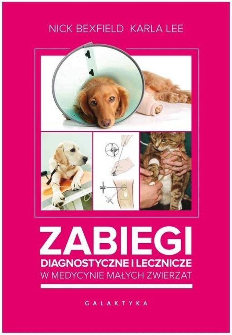 Zabiegi diagnostyczne i lecznicze w medycynie małych zwierząta