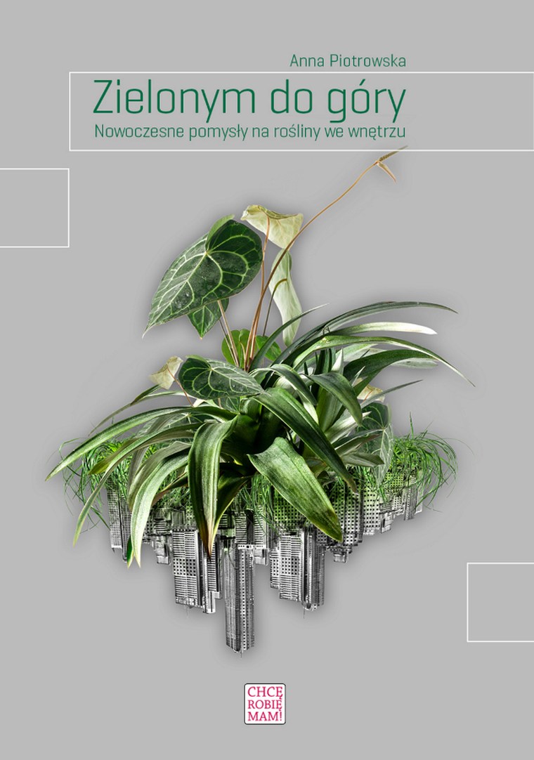 Zielonym do góry. Nowoczesne pomysły na rośliny we wnętrzu