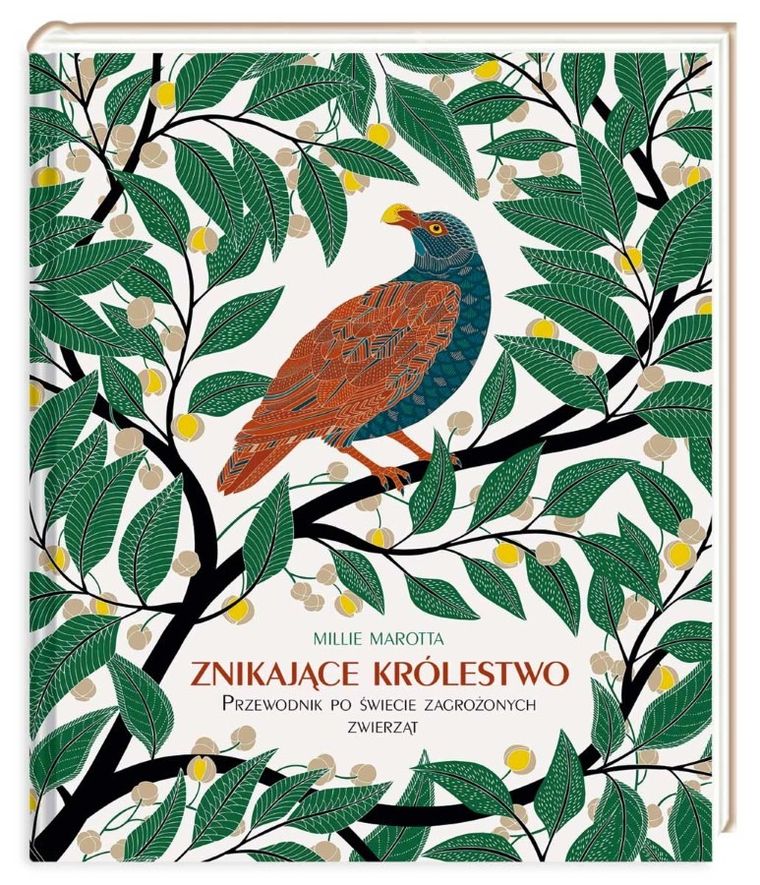 Znikające królestwo. Przewodnik po świecie