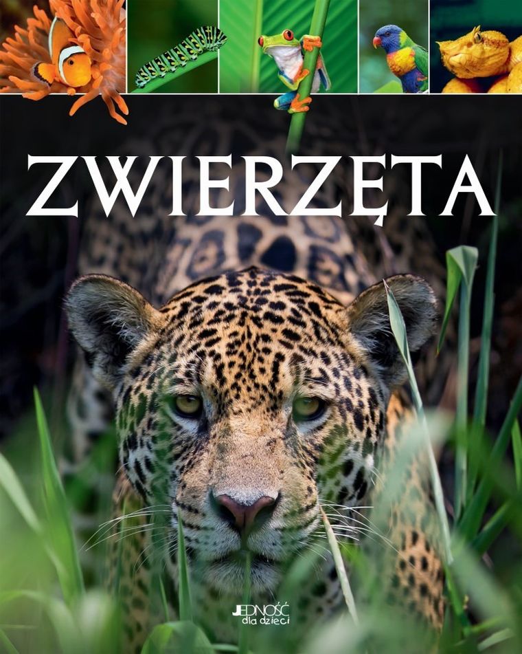 Zwierzęta