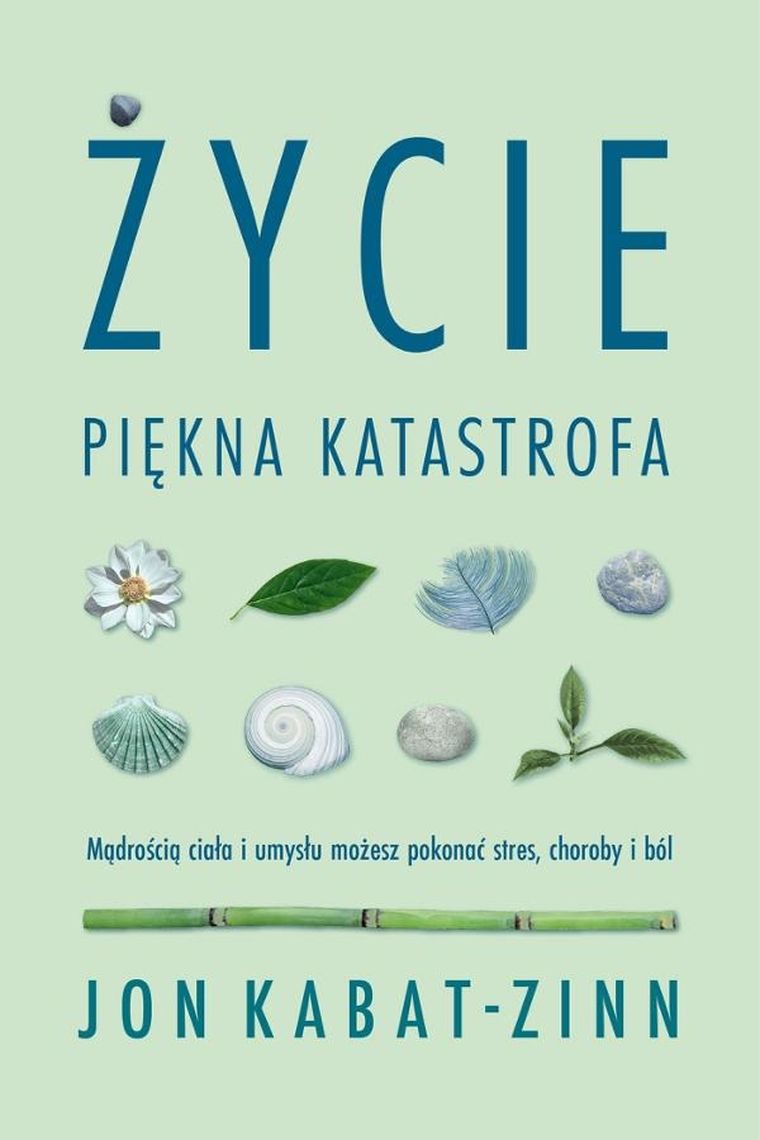 Życie, piękna katastrofa. Mądrością ciała i umysłu możesz pokonać stres, choroby i ból