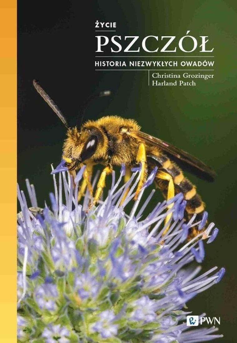 Życie pszczół. Historia niezwykłych owadów