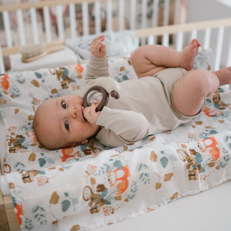 BabyOno, grzechotka, snail