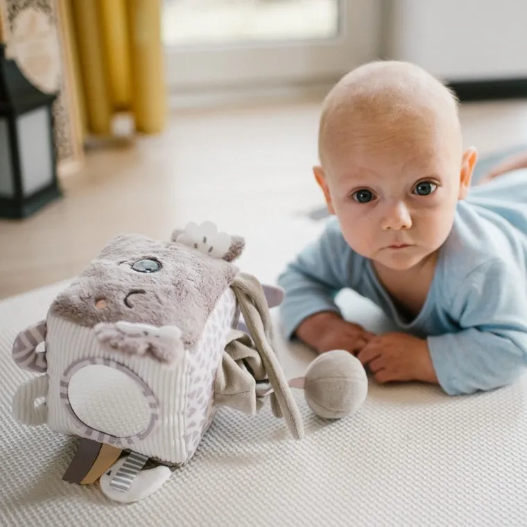 BabyOno, Koala Coco, kostka sensoryczna