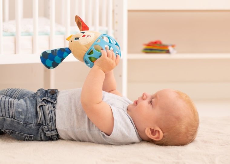 Balibazoo, Pies, piłka grzechotka