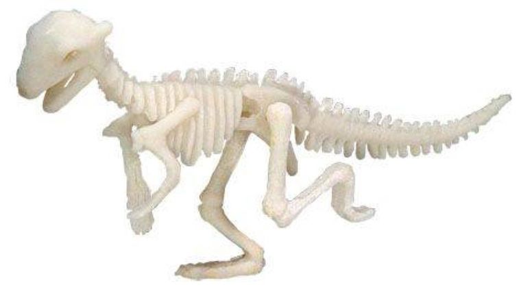 Bones&More, Duży szkielet dinozaura, wykopalisko, odcisk łapy