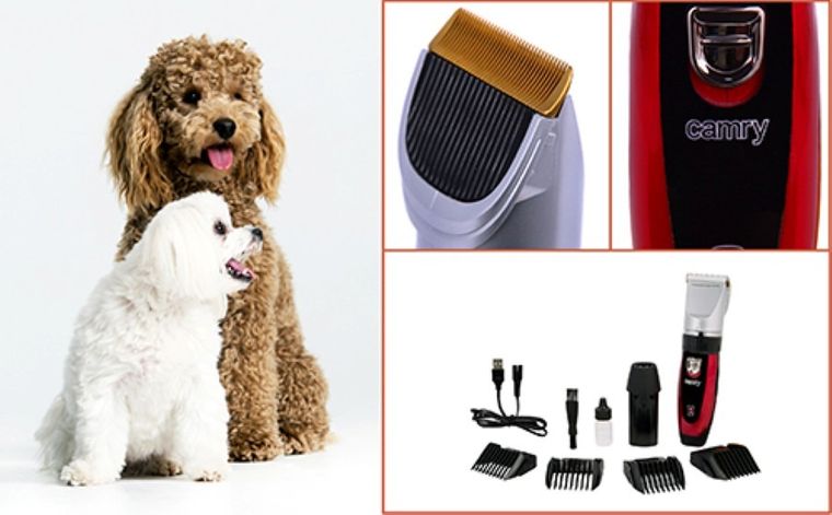 Camry, strzyżarka dla zwierząt, 35W, CR 2821