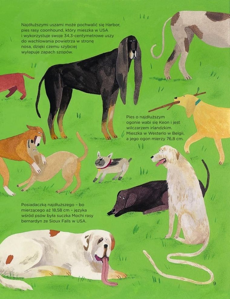 Dlaczego psy się obwąchują?