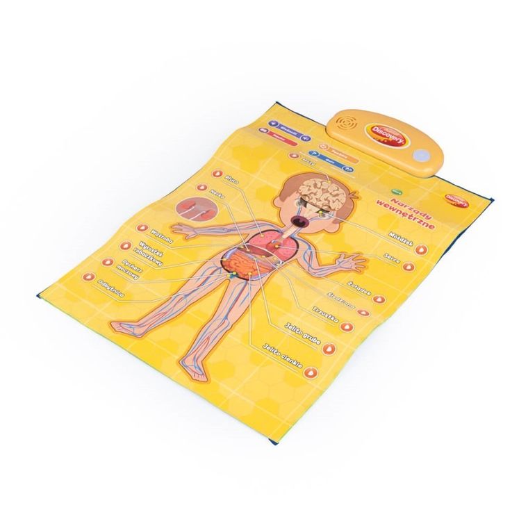 Dumel Discovery, Człowiek, edukacyjne plakaty interaktywne