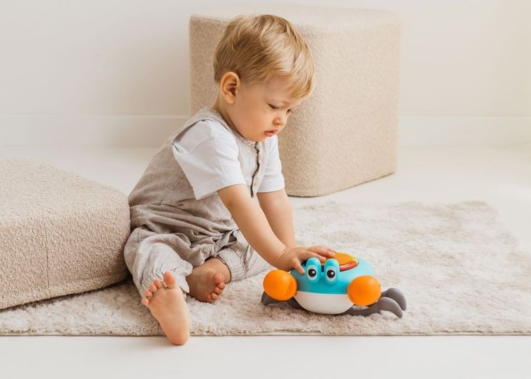 Dumel Discovery, Krab Mądrala, zabawka interaktywna