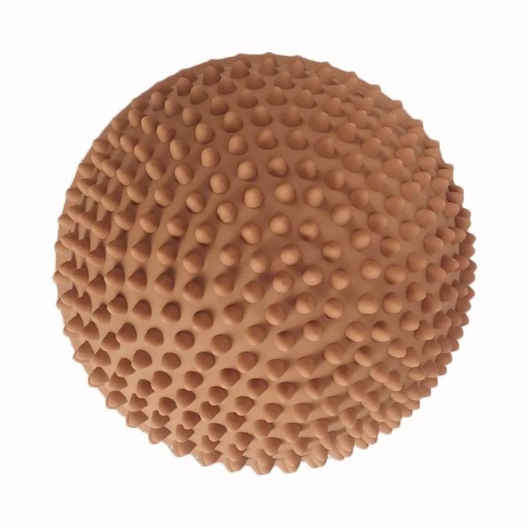 Find that Hippo, Zachód słońca, ścieżka sensoryczna