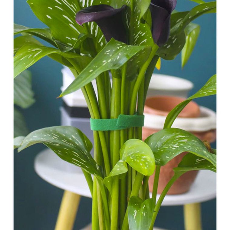 Gardlov, rzep-taśma ogrodnicza, 5 m