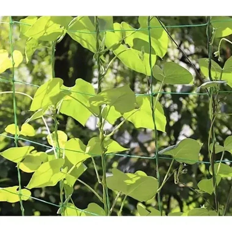 Gardlov, siatka, podpora do roślin, 2-20m