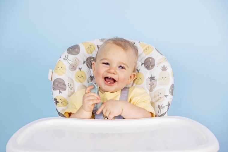 Graco, Minilite, krzesełko do karmienia, safari