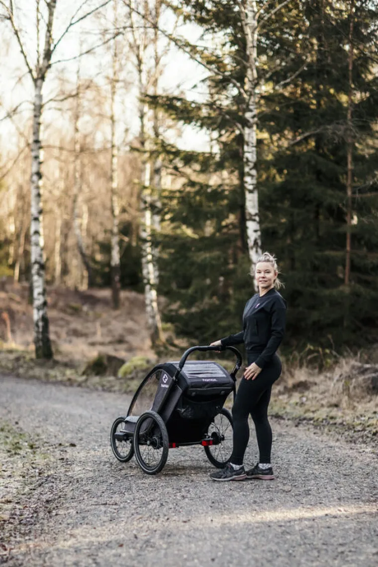 Hamax, Cocoon One, przyczepka rowerowa, grey/black