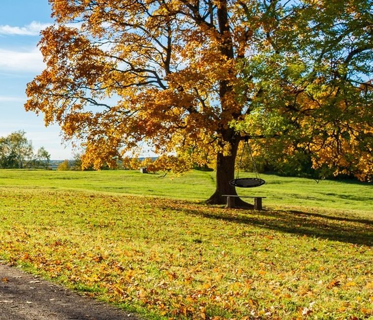 Iso Trade, huśtawka bocianie gniazdo, czarna, 100 cm