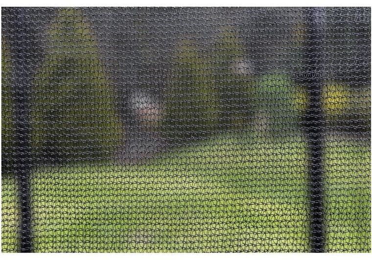 Lean Sport, Pro, trampolina, 14ft, czarno-zielona