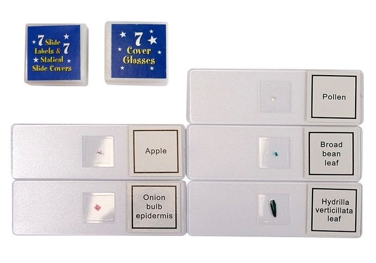 Lean Toys, mikroskop w walizce