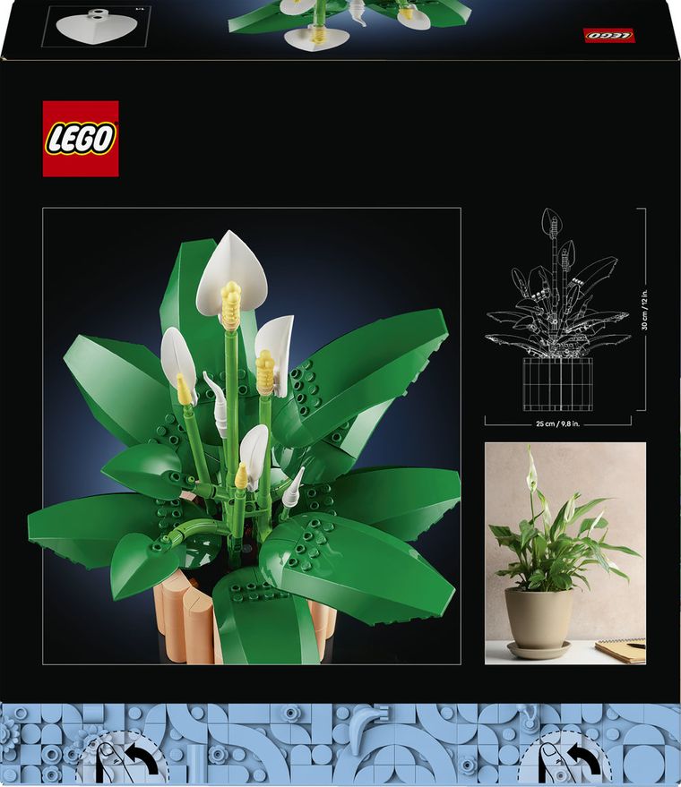 LEGO Botanicals, Skrzydłokwiat, 11504