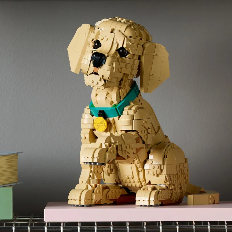 LEGO Icons, Szczeniak golden retriever, 11384