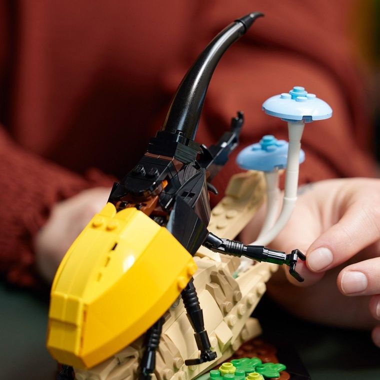 LEGO Ideas, Kolekcja owadów, 21342