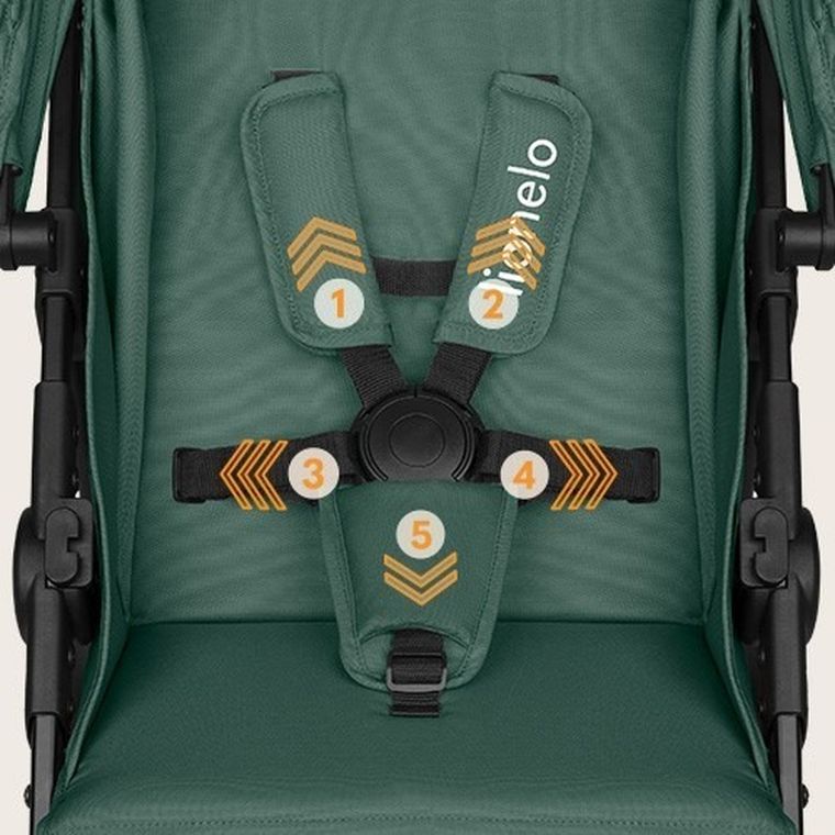 Lionelo, Annet Plus, wózek spacerowy, Green Forest