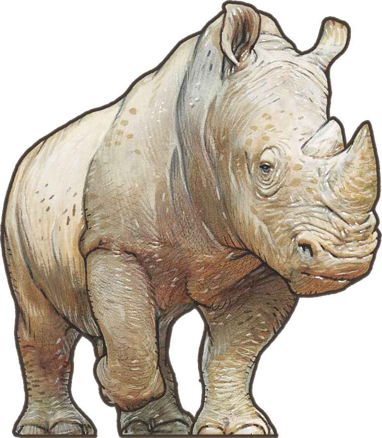 Lucky Duck Games, Hutan, gra familijna