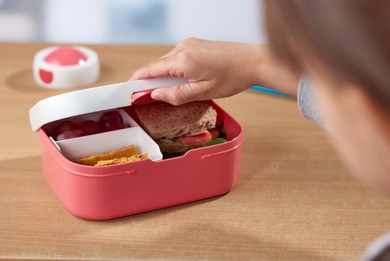 Mepal, Campus, lunchbox, Animal Friends