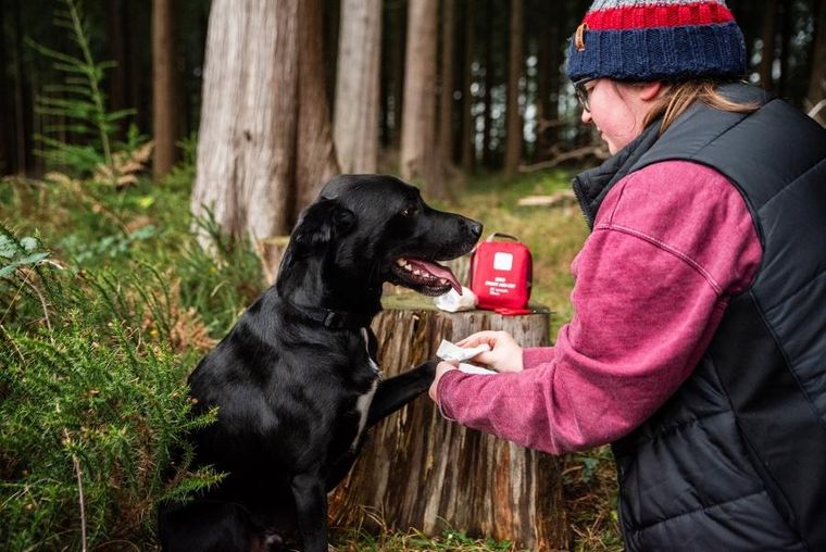 Mountain Paws, apteczka pierwszej pomocy dla psa