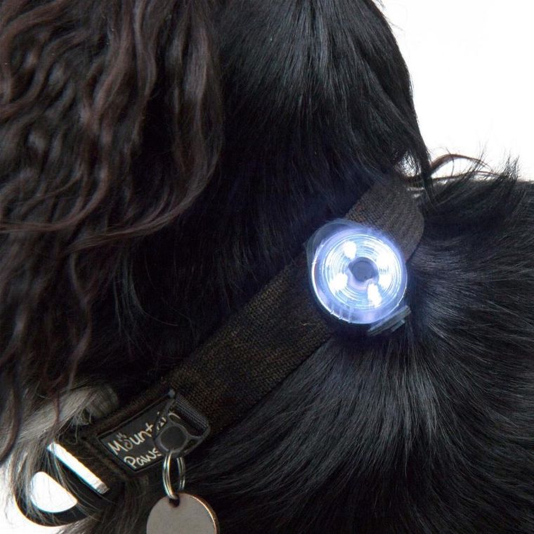 Mountain Paws, lampka bezpieczeństwa dla psa, 2 lampki