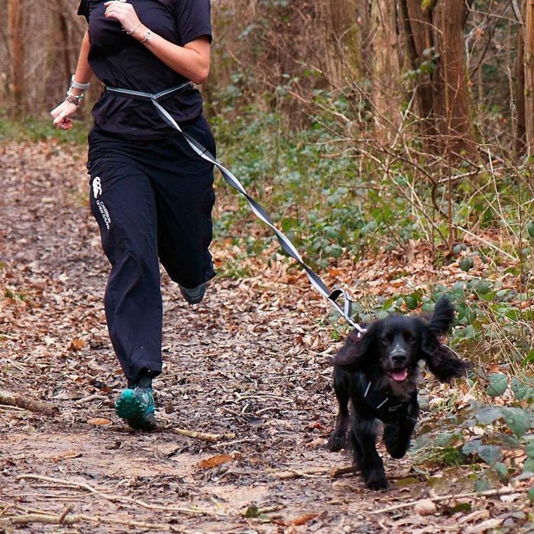 Mountain Paws, smycz do biegania z amortyzatorem, 281 cm