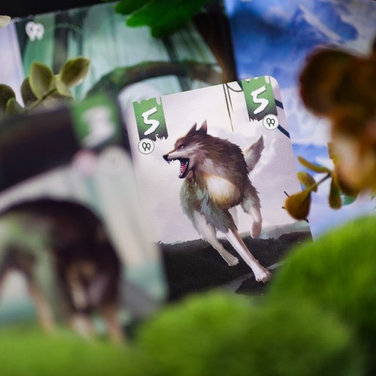 Muduko, Samotne Wilki, Pojedynek, gra karciana