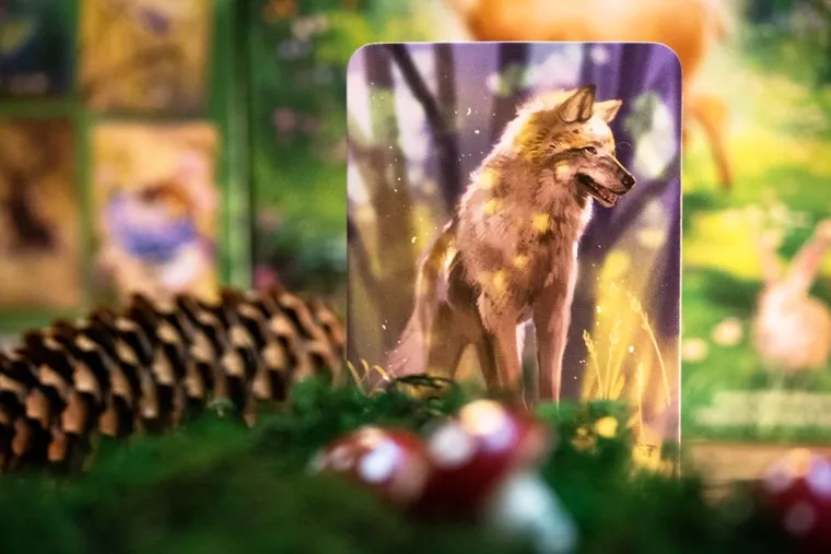 Nasza Księgarnia, Ekosystem, gra familijna