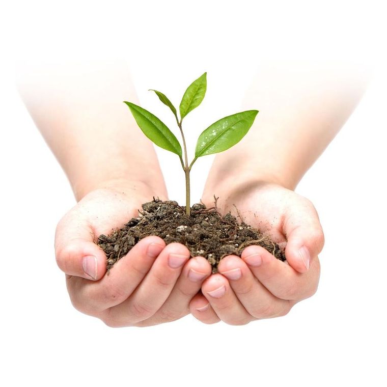 Plonos, agrotkanina ogrodowa 1,6 mx100 m 90 g/m2 + 100 szpilek, czarna